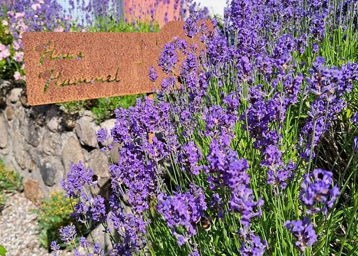 Feriehus Hummel Böhl